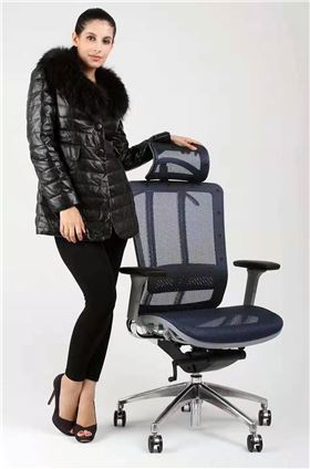 多功能人體工學(xué)椅 多功能人體工學(xué)椅